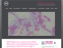 Tablet Screenshot of dwrdiagnostics.com